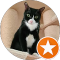 Shermaine Wong Avatar